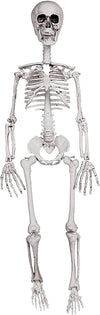 Posable Halloween Human Skeleton