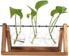 Desktop Plant Terrariums Glass Planter Bulb Vase