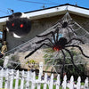 35'' Halloween Spider and 1000sqft Spider Web